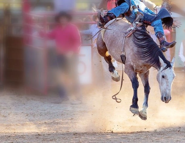 Miles City Bucking Horse Sale 2025