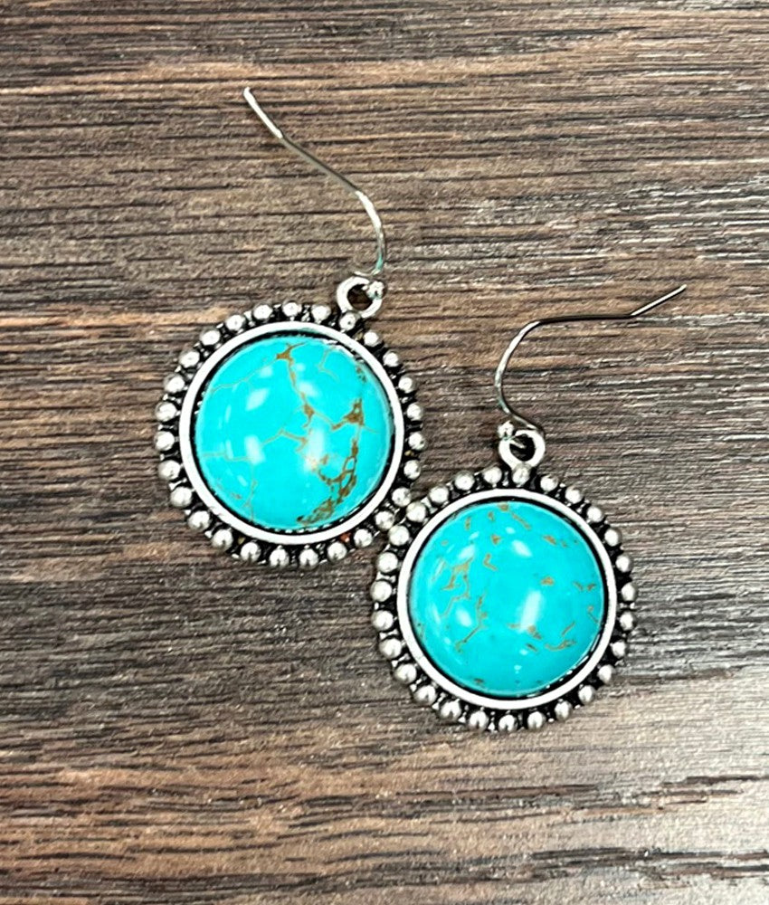 Round Stone, Fishhook Earrings
