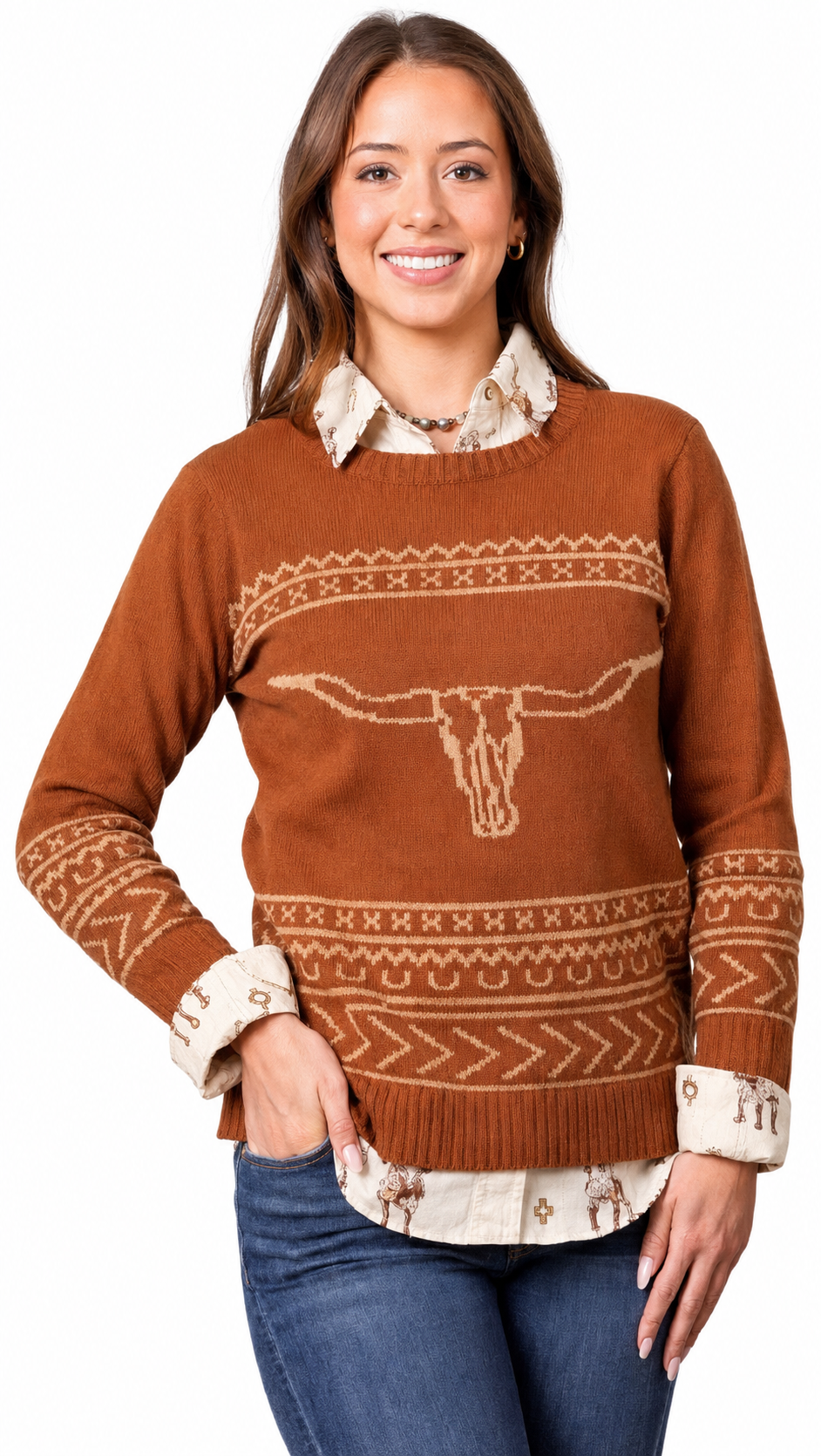 The Butte Steer Sweater