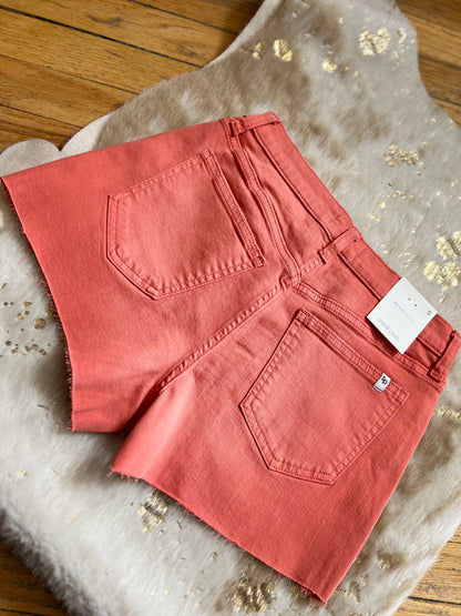 Burnt Sienna Mid Rise Basic Shorts